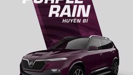 Vinfast President lộ loạt ảnh m&#224;u sơn &quot;cực độc&quot;  - Ảnh 3