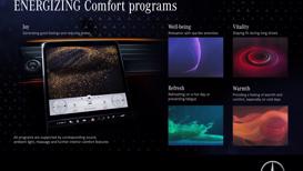 Ch&#226;n dung Mercedes-Benz S-class 2021 vừa ra mắt - Ảnh 39