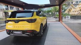 Showroom đẹp &quot;long lanh&quot; d&#224;nh cho VinFast President - Ảnh 7