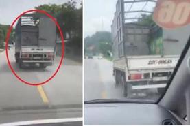  Cố tình "ngáng đường" xe ưu tiên, bị xử phạt thế nào?