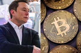 Tesla sẽ chấp nhận giao dịch bitcoin khi các “thợ đào” sử dụng năng lượng sạch hợp lý