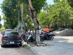 Hà Nội mới chỉ đáp ứng được 10% tổng nhu cầu đỗ xe