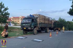 Tin vắn giao thông mới nhất 24h: 6.273 trường hợp vi phạm trật tự ATGT trên cả nước