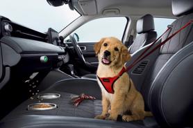 Thực hư chuyện Honda phát triển phụ kiện dành riêng cho… chó trên ô tô