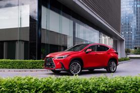 Xe sang Lexus NX350 bị lỗi phần mềm điều khiển phanh tại Việt Nam
