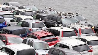 Nhật Bản siết lệnh cấm bán ô tô cũ sang Nga, cắt thị trường tỷ USD mỗi năm