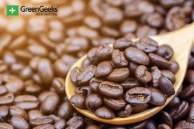 Ford sẽ sản xuất nội thất, linh kiện ô tô từ vỏ cà phê 