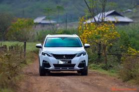 Bảng giá xe ô tô Peugeot cập nhật tháng 2 năm 2020
