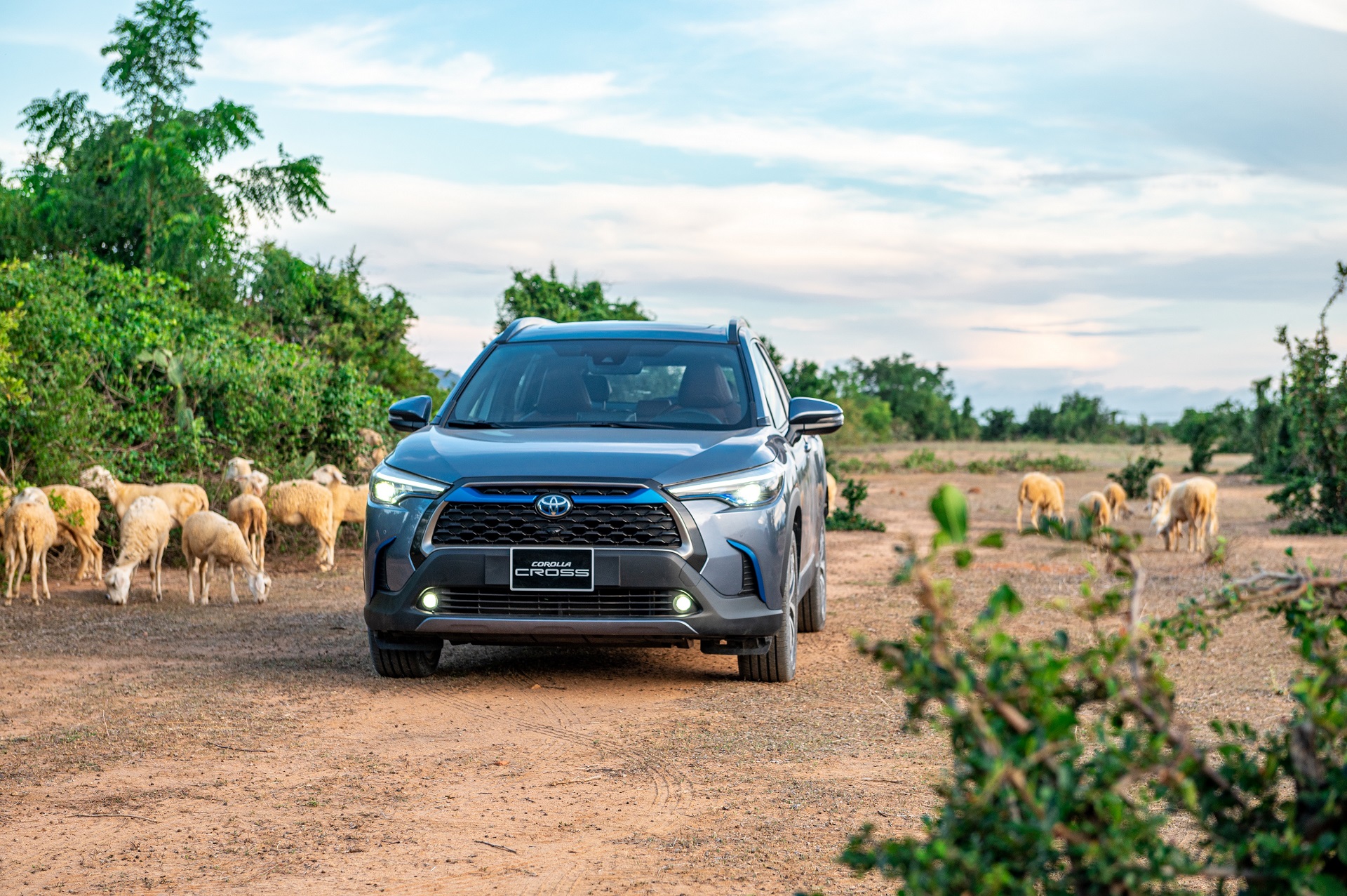 Nghịch lý Toyota: Xe “lên đỉnh”, xe … ế kinh niên
