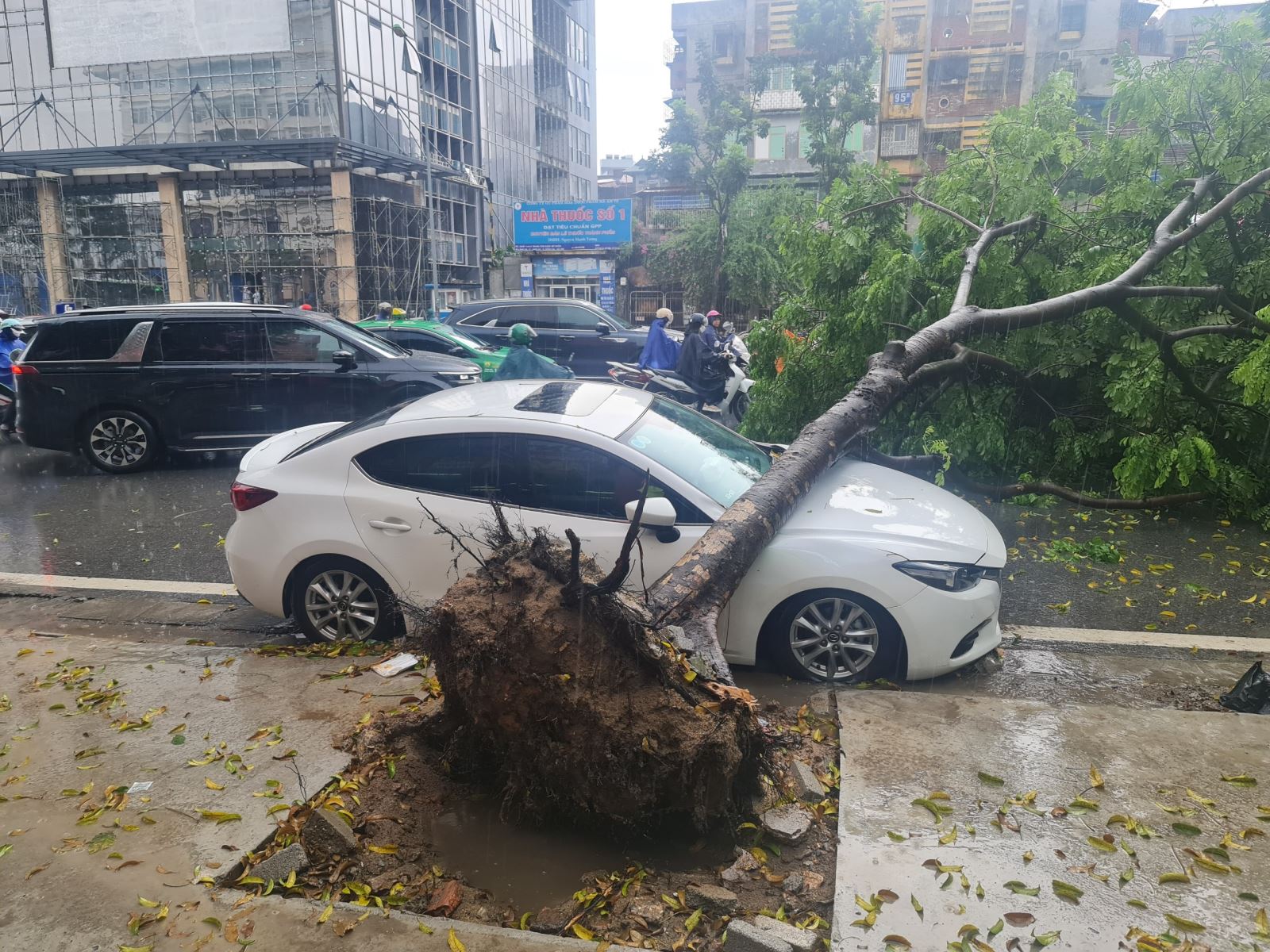 Bạn có biết: Mưa lớn, cây xanh đổ đè trúng xe ô tô, ai phải bồi thường?