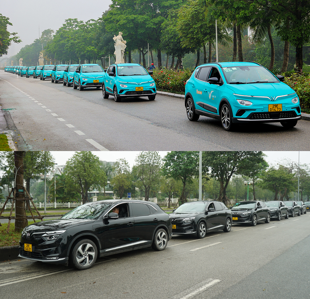 Hai dịch vụ taxi điện, GreenCar (tiêu chuẩn) và LuxuryCar (cao cấp).