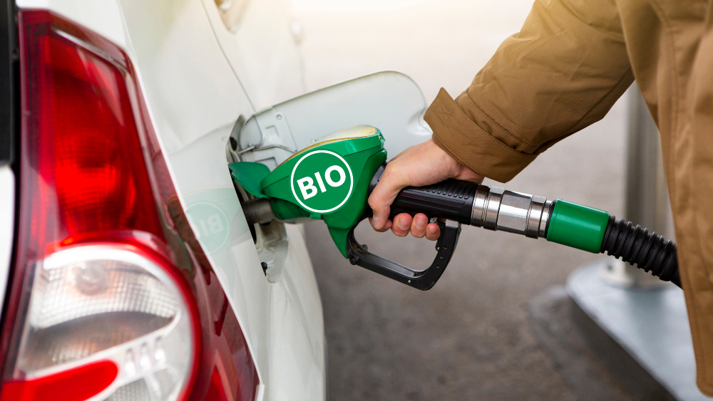 Ý hy vọng EU sẽ “nhượng bộ” về nhiên liệu sinh học