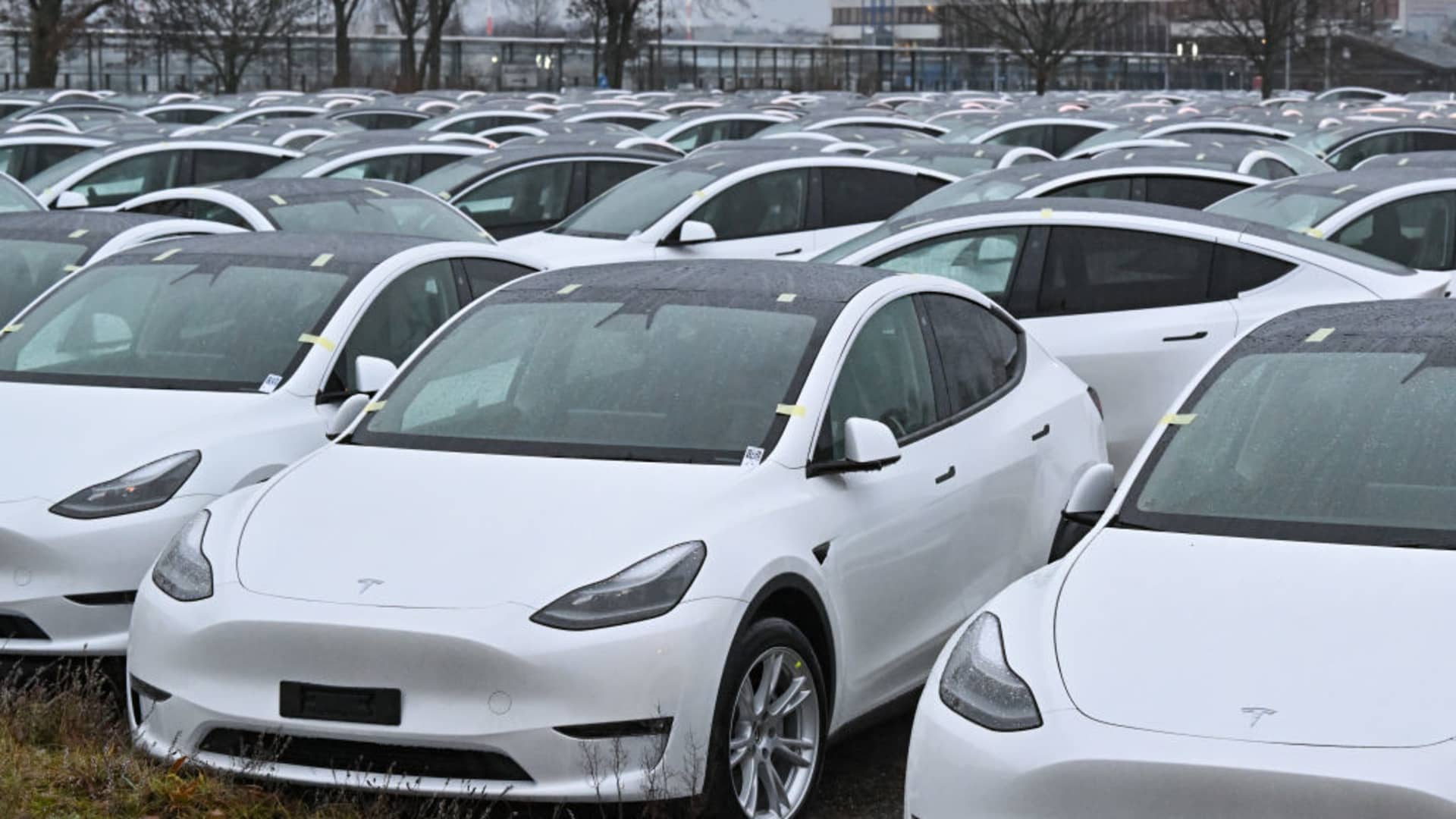 Các nhà phân tích đang cảnh báo thị trường EV toàn cầu có thể sớm có năng lực sản xuất nhiều hơn nhu cầu.  