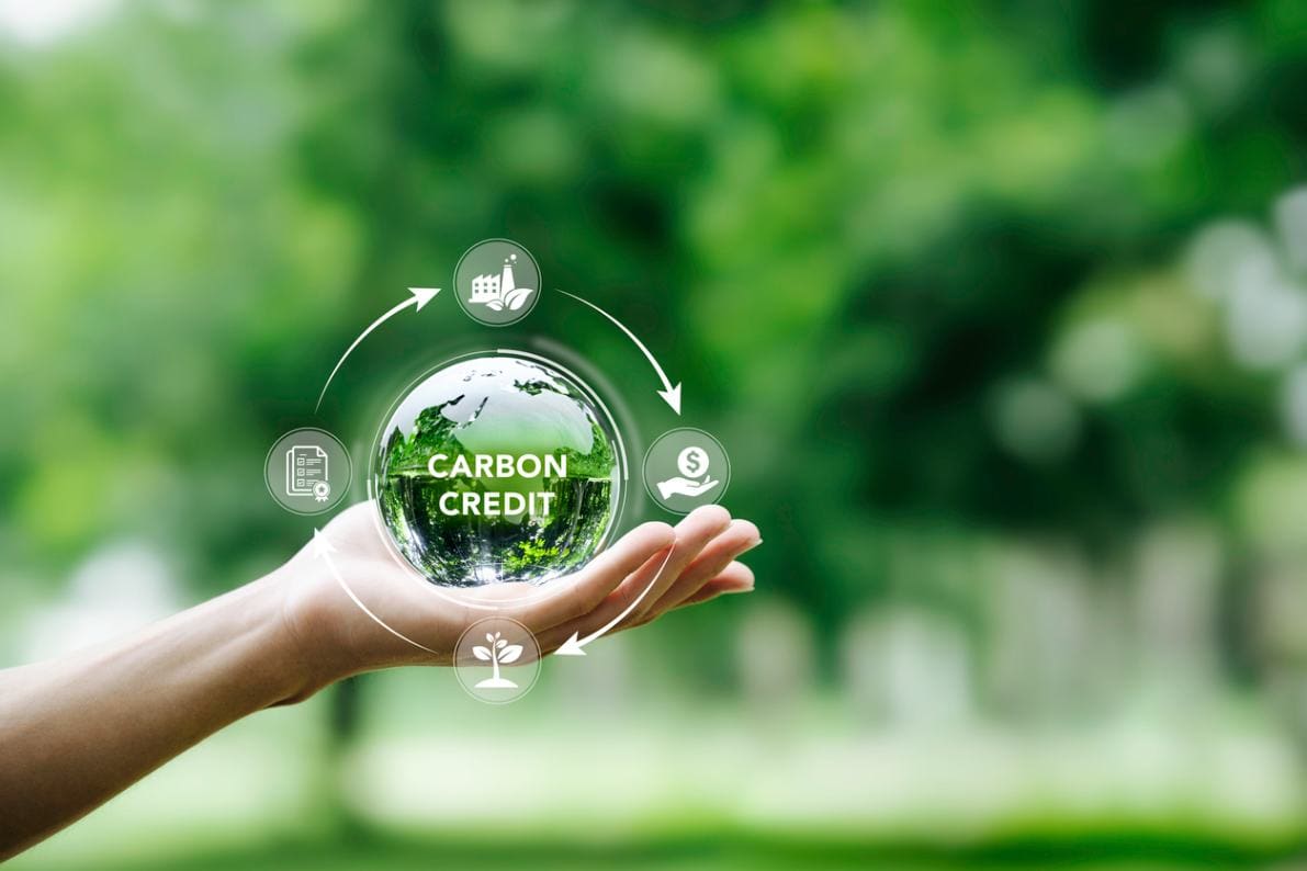Tín chỉ carbon: Nguồn lợi tỷ USD cho VinFast trong tương lai?