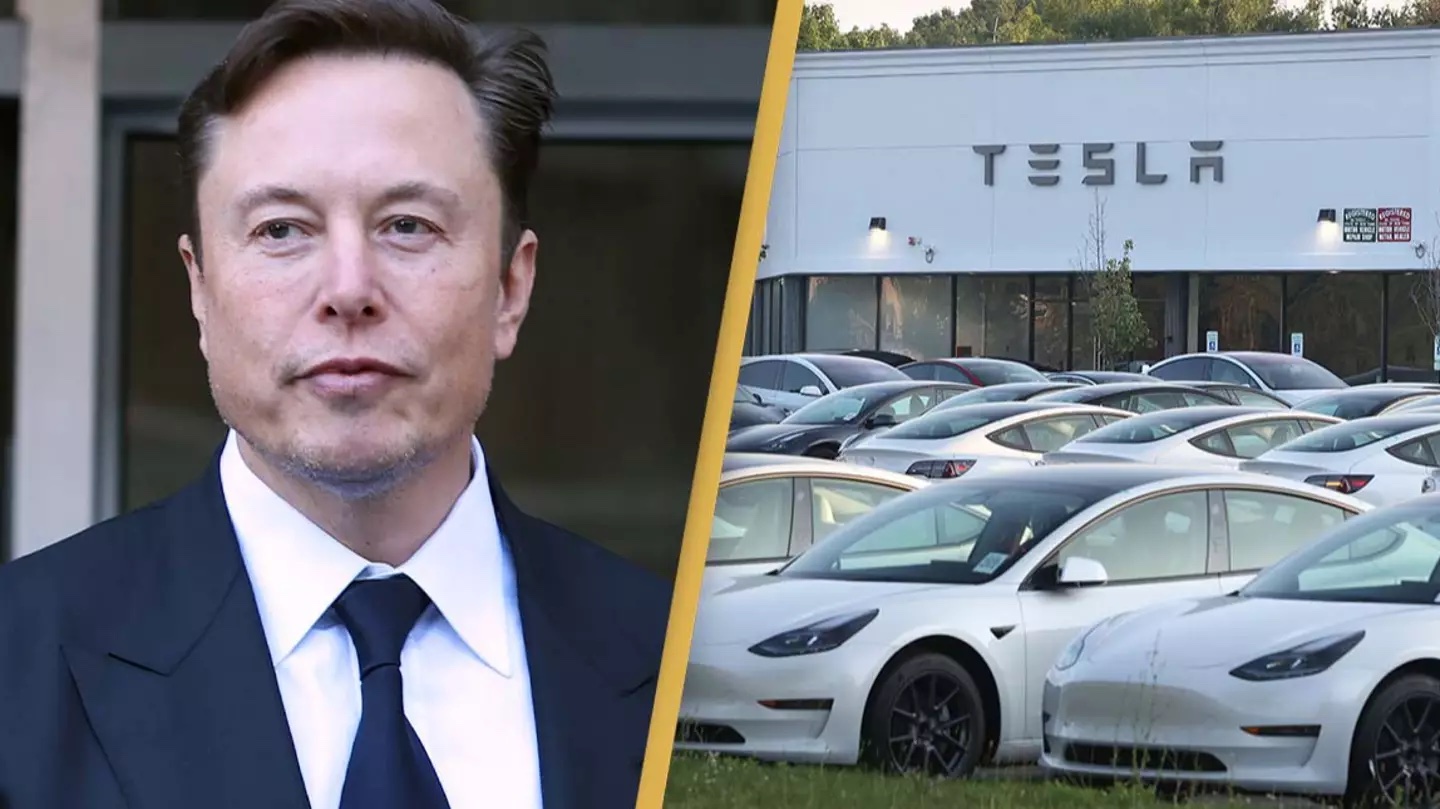 Động thái khó hiểu của Elon Musk với bầu cử Mỹ - Automotive