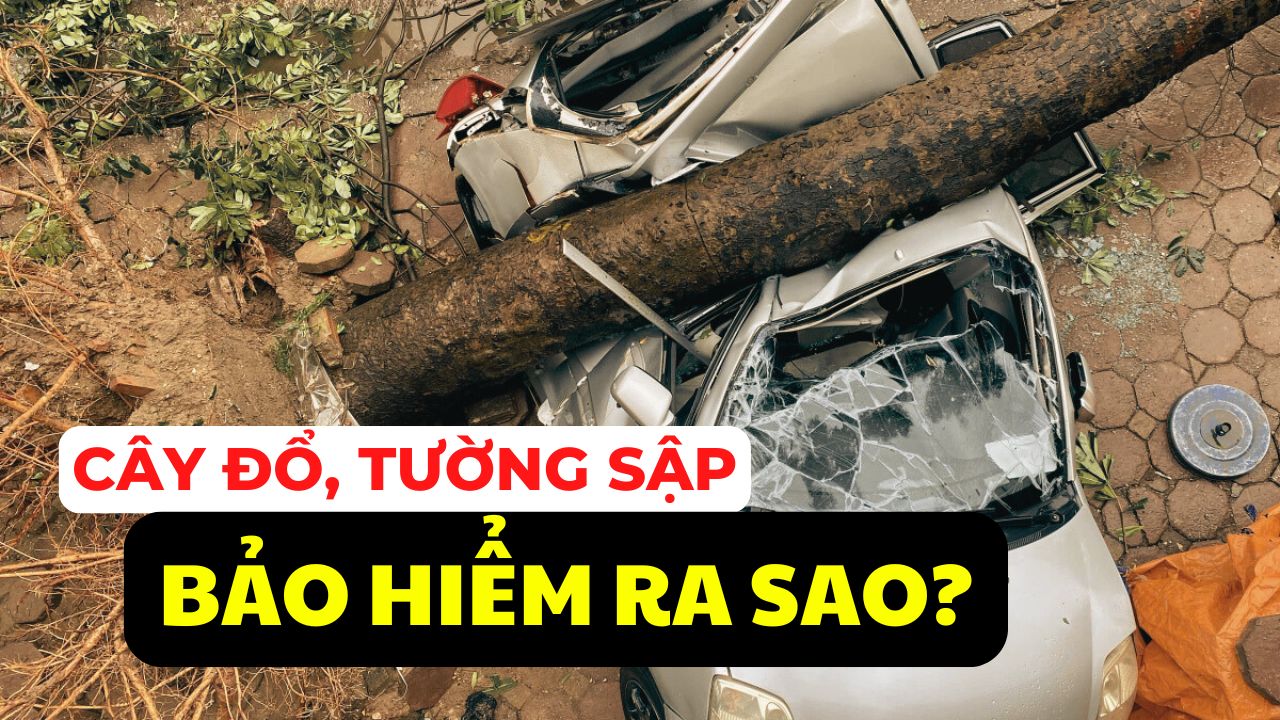 #Auto Hashtag: Bảo hiểm chi trả ô tô bị thiệt hại do bão, lũ như thế nào?