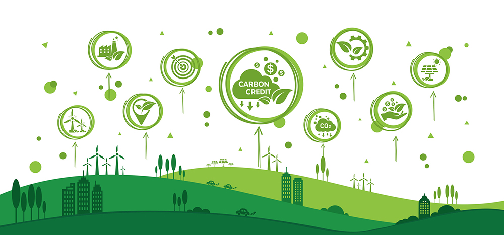 Sự nhầm lẫn trong khái niệm tín chỉ carbon và chuyển đổi 