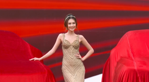 Hãng xe Trung Quốc Hongqi chính thức giới thiệu tại thị trường Việt Nam