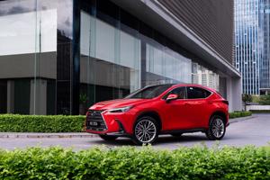 Xe sang Lexus NX350 bị lỗi phần mềm điều khiển phanh tại Việt Nam