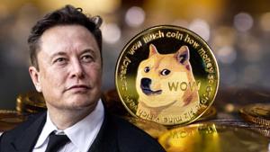 Elon Musk úp mở chấp nhận mua xe Tesla bằng đồng Dogecoin, thị trường “nhảy múa"