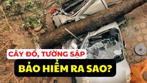 #Auto Hashtag: Bảo hiểm chi trả ô tô bị thiệt hại do bão, lũ như thế nào?