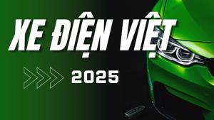 Bức tranh thị trường xe điện Việt Nam 2025