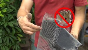 Tự chế lưới ngăn chuột vào xe ô tô cực đơn giản