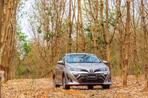 COVID-19 khiến doanh số Toyota giảm 33%