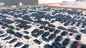 Nhờ tin tốt từ Trung Quốc, cổ phiếu Tesla lên đỉnh mới