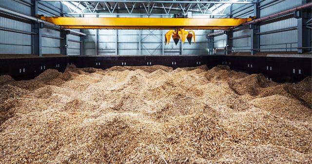 Một nhà máy Biomass ở Bình Dương. Ảnh: Divigroup