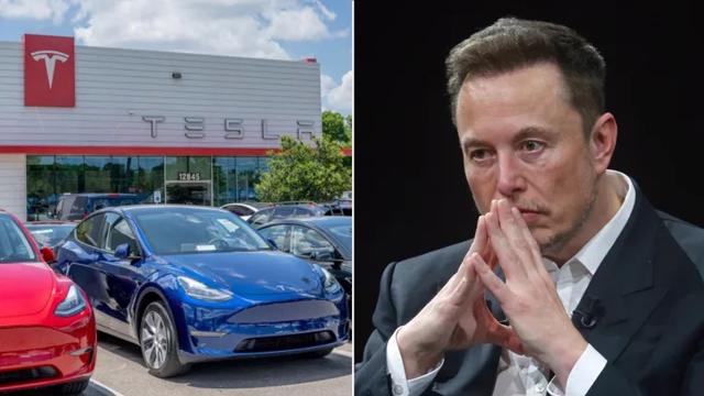 Tesla có “miễn nhiễm” với thuế quan của Bắc Mỹ? - Ảnh 1