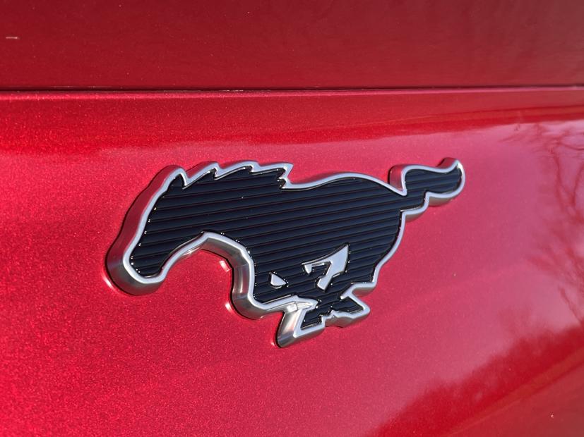 Ford Mustang chạy điện được sản xuất tại Trung Quốc - Ảnh 2