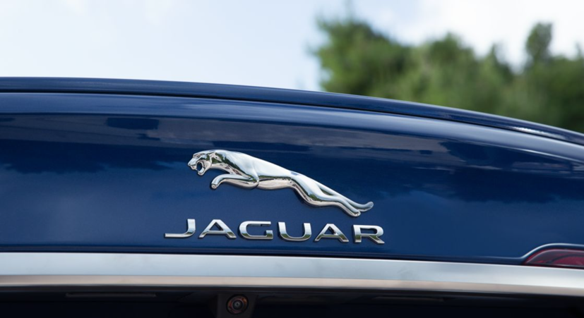 Jaguar chỉ giới thiệu các mẫu xe mới từ năm 2025, tập trung sang xe điện - Ảnh 1