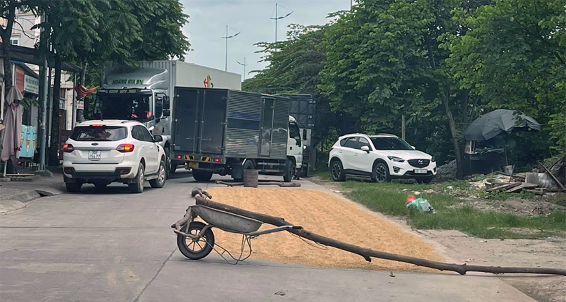 Người dân phơi thóc lúa trên đường cản trở giao thông. Nguồn ảnh: Trung Đức Vũ/Oto+.