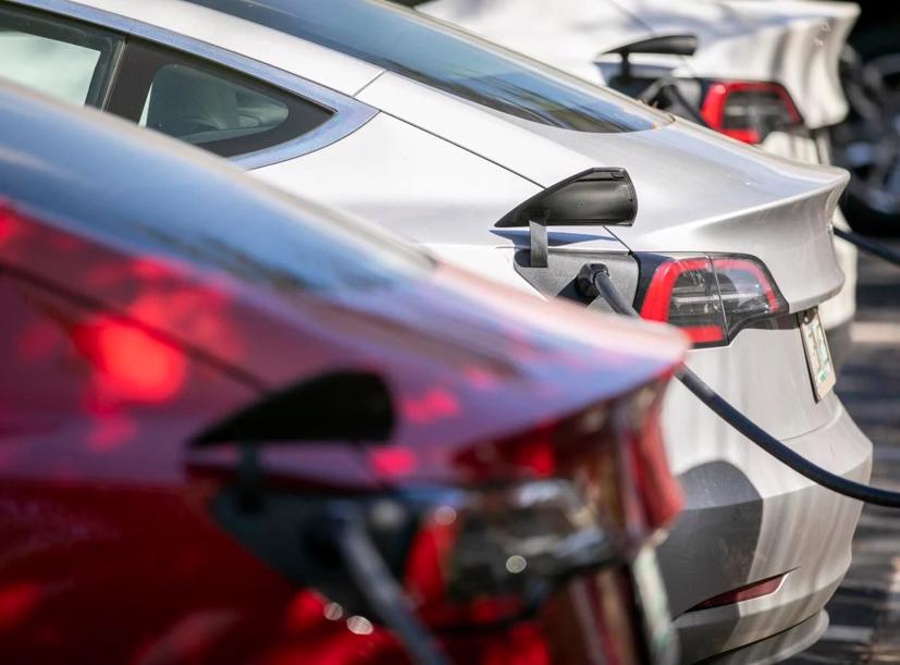 Nghịch lý của thị trường xe điện lớn thứ 2 thế giới - Ảnh 2