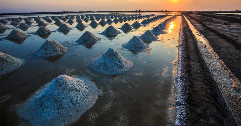 Mỹ Latinh có nguồn tài nguyên lithium rất lớn.