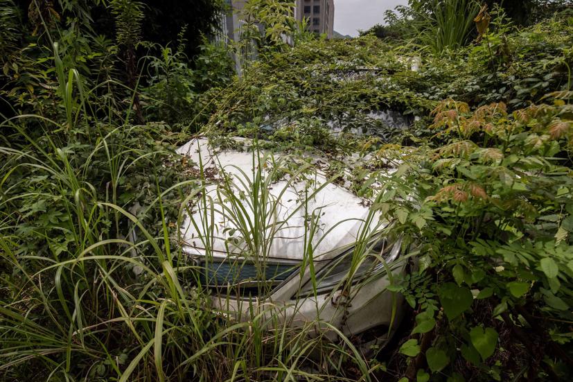 Những chiếc ô tô chạy bằng pin không mong muốn là tàn dư của quá trình hợp nhất nhanh chóng trong ngành công nghiệp gọi xe. Ảnh: Bloomberg.