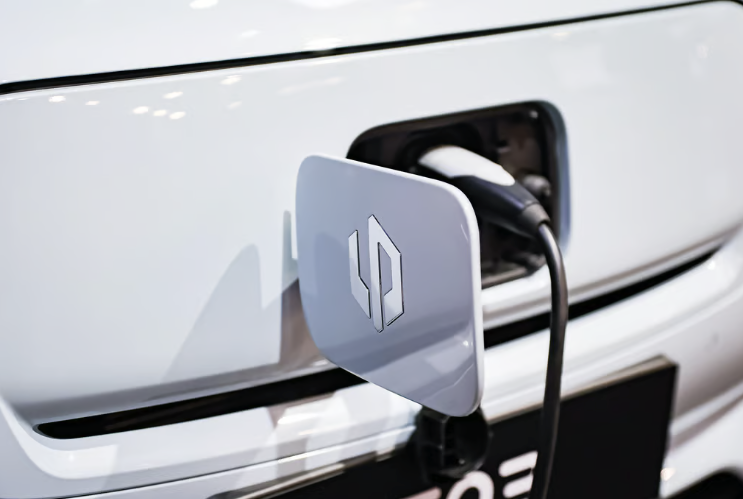 Trung Quốc l&#224;m g&#236; để “đấu” EU trong vụ điều tra chống trợ cấp cho xe điện? - Ảnh 3