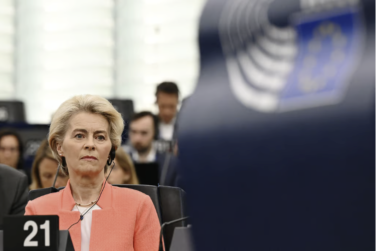 Trung Quốc l&#224;m g&#236; để “đấu” EU trong vụ điều tra chống trợ cấp cho xe điện? - Ảnh 2