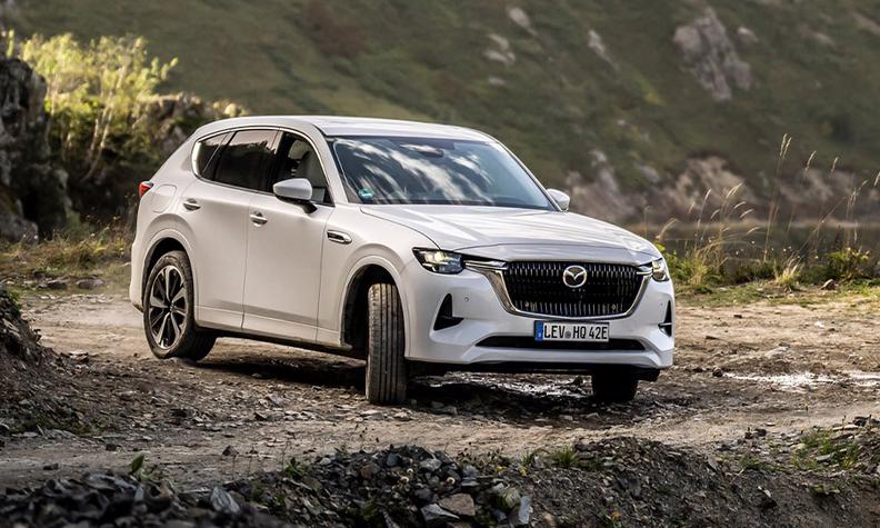 Tại sao &#244; t&#244; plug-in hybrid đối mặt với tương lai kh&#244;ng chắc chắn? - Ảnh 3