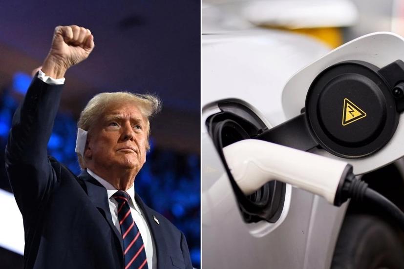 Động th&#225;i kh&#243; hiểu của Elon Musk với bầu cử Mỹ - Ảnh 5