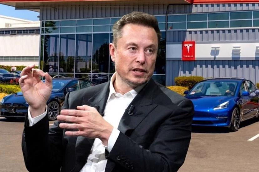 Elon Musk x&#225;c nhận kh&#244;ng sản xuất mẫu xe điện Tesla “gi&#225; rẻ” - Ảnh 1