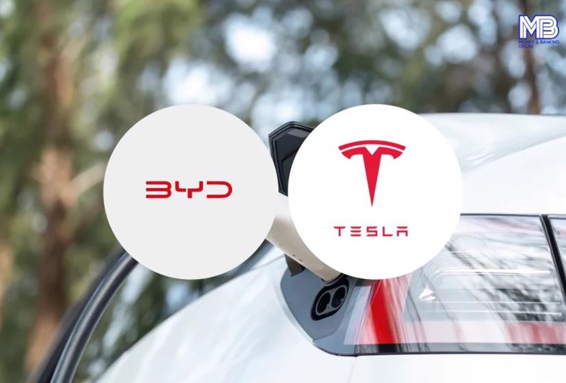 Bất chấp xe Trung Quốc bị áp thuế, BYD lần đầu tiên vượt mặt Tesla tại châu Âu - Ảnh 2