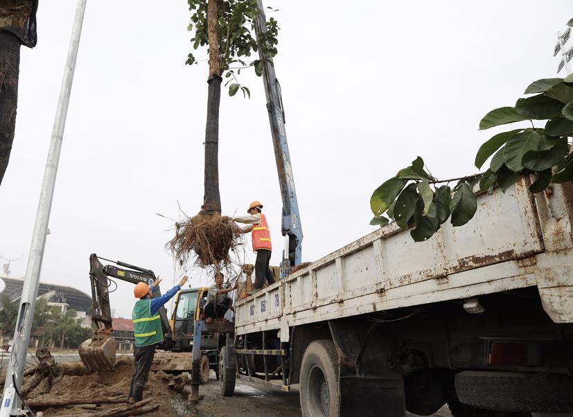 Đường đua F1 Việt Nam ho&#224;n thiện v&#224;o th&#225;ng 3 - Ảnh 9