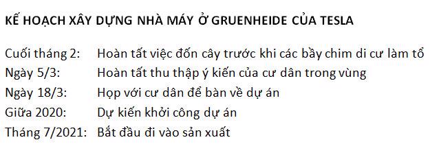 Ph&#237;a sau cuộc tấn c&#244;ng của Tesla v&#224;o c&#244;ng nghiệp &#244; t&#244; Đức - Ảnh 1