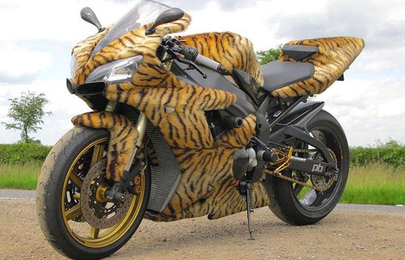 Loạt ảnh m&#244; t&#244; độ tới mức kỳ dị ở khắp nơi tr&#234;n thế giới - Ảnh 3