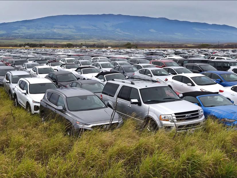 Những “nghĩa địa” &#244; t&#244; khổng lồ trong đại dịch Corona - Ảnh 1