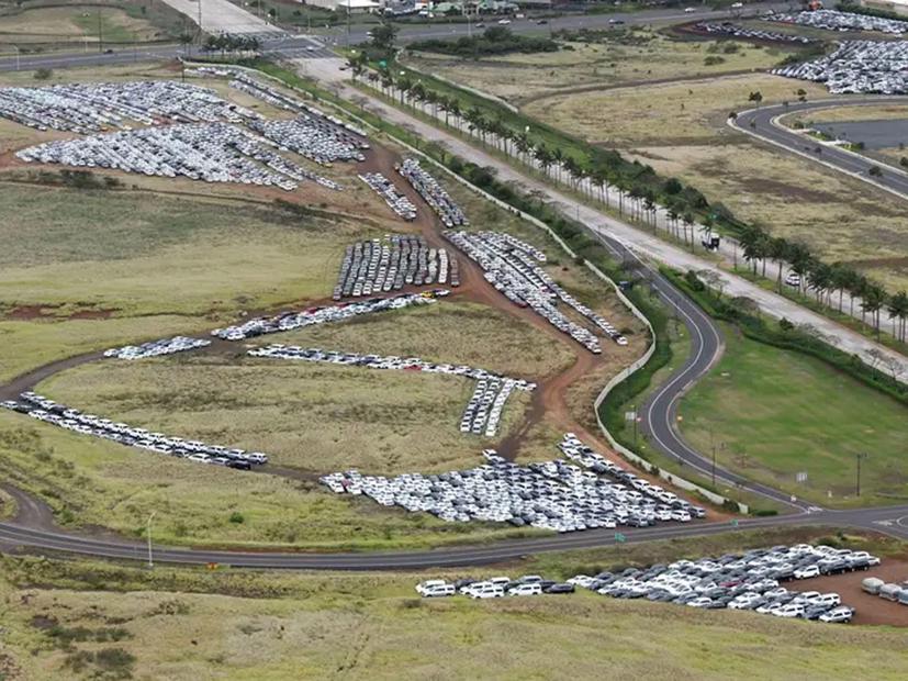 Những “nghĩa địa” &#244; t&#244; khổng lồ trong đại dịch Corona - Ảnh 3