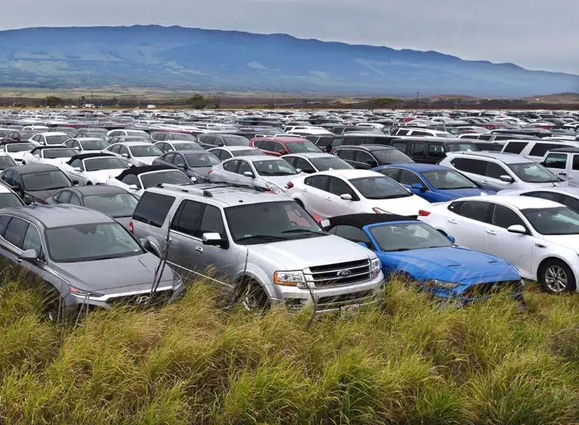 Những “nghĩa địa” &#244; t&#244; khổng lồ trong đại dịch Corona - Ảnh 7