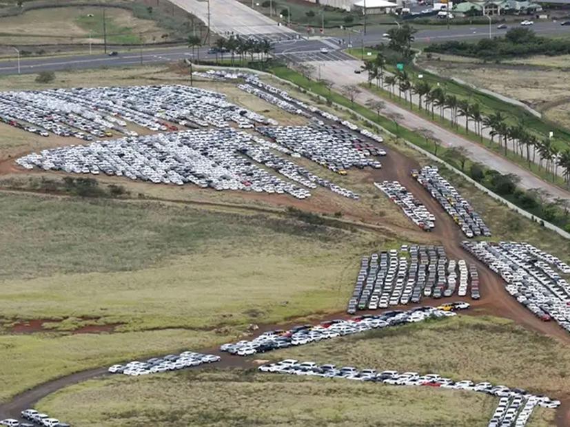 Những “nghĩa địa” &#244; t&#244; khổng lồ trong đại dịch Corona - Ảnh 9